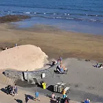 Апартаменты El Medano Эль-Медано